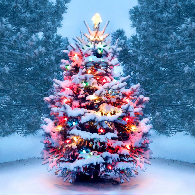 Happy Holidays!